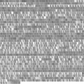 2024-07-07 17-29-13 PA0KDF PA0PZD Sunday PA0 net